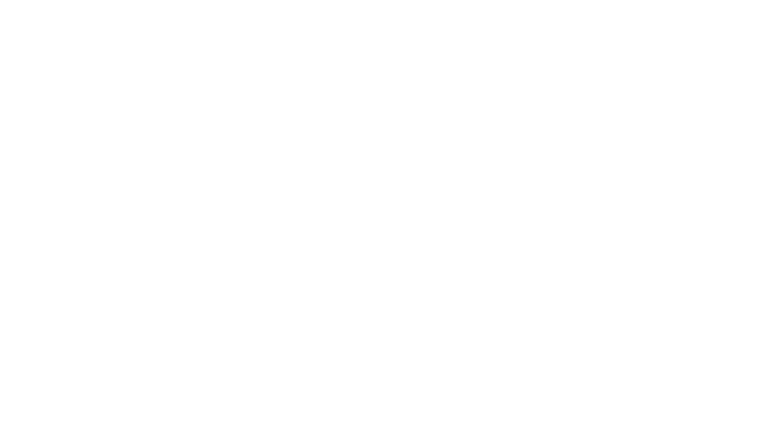BUSSE Design